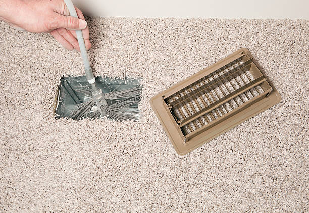 Best Air Duct Mold Removal  in Sterling, VA